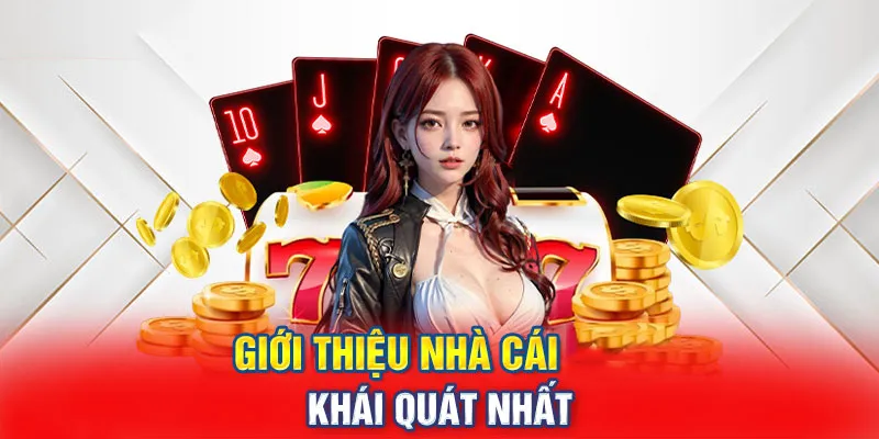 Giới thiệu 88vv về Khuyến mãi và chương trình ưu đãi hấp dẫn